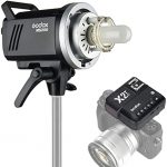 کیت فلاش گودکس Godox MS200-F 2 Monolight Kit